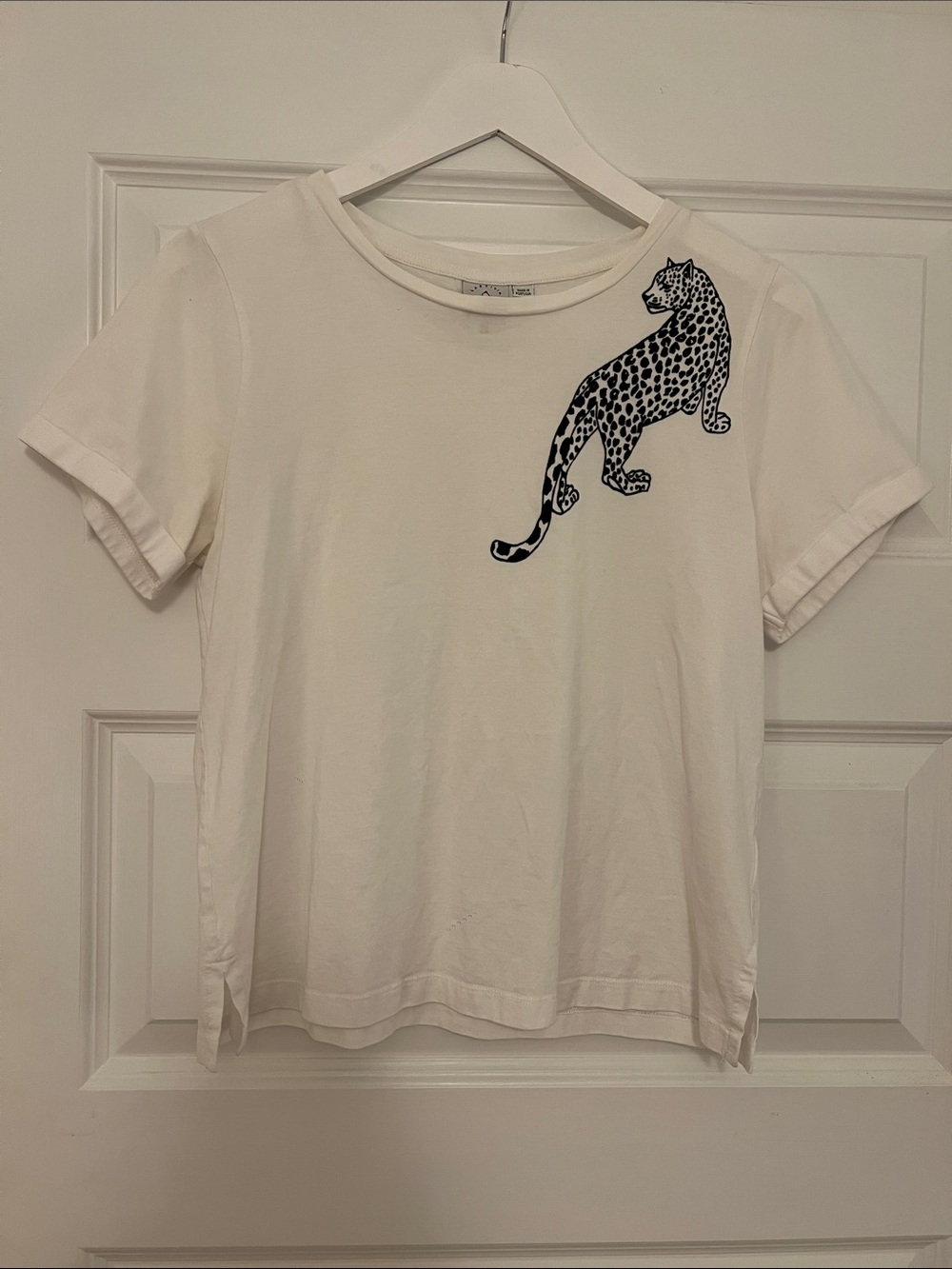 Anthropology top